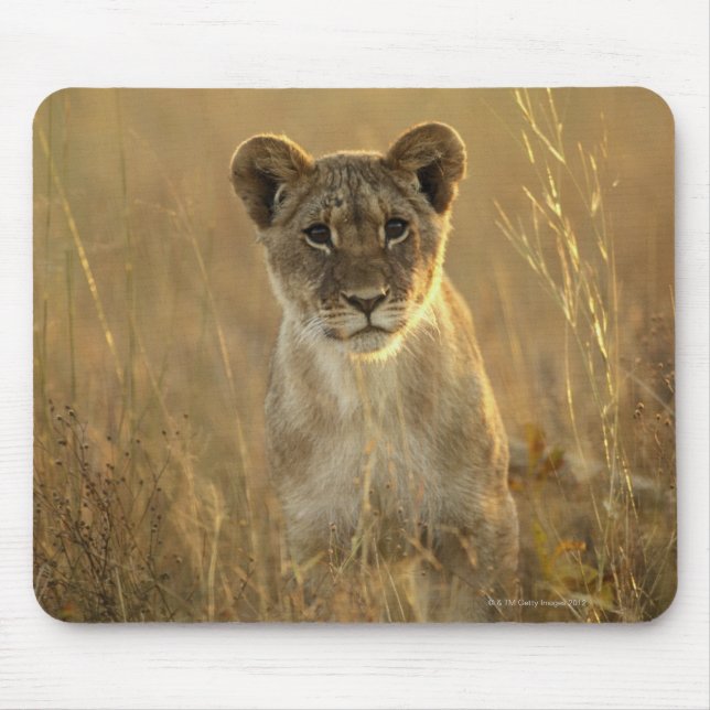 Hwange National Park, Zimbabwe. Mouse Mat (Front)