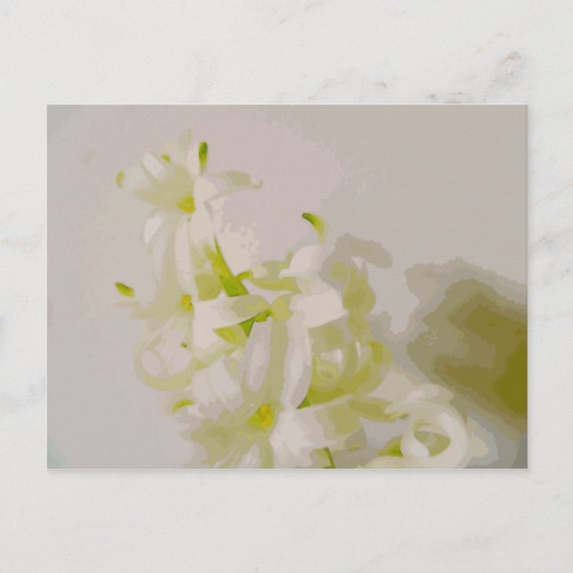 Hy canvas postcard (Front)