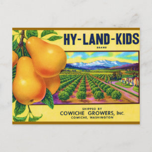 Hy-Land-Kids Pears Postcard