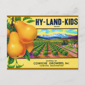 Hy-Land-Kids Pears Postcard