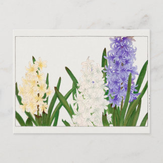 Hyacinth by Tanigami Konan Postcard