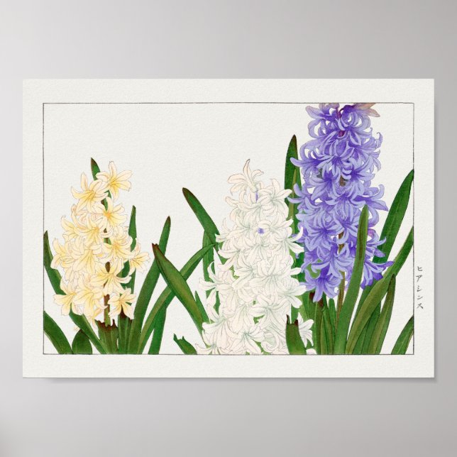 Hyacinth by Tanigami Konan Poster (Front)