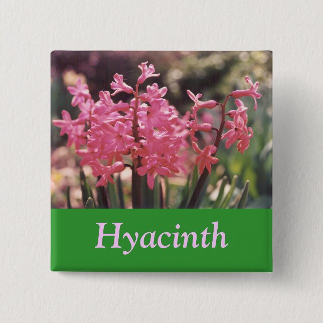 Hyacinth Cluster 15 Cm Square Badge (Front)