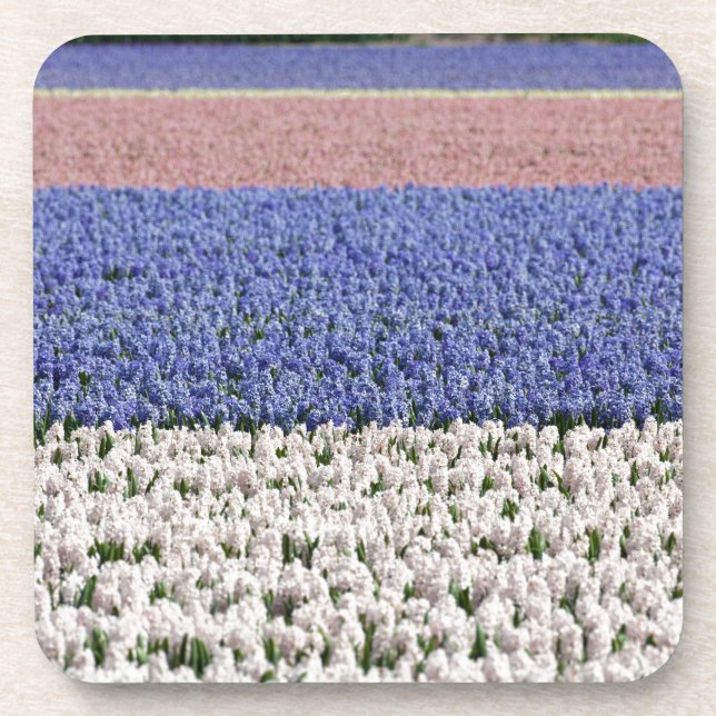 Hyacinth Field Coaster (Front)