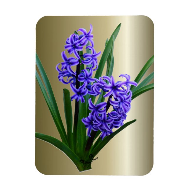 Hyacinth Flower in Full Bloom Magnet (Vertical)