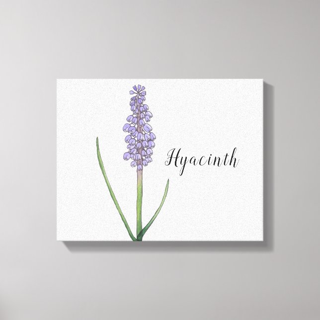Hyacinth Flower Watercolor Canvas Print (Front)
