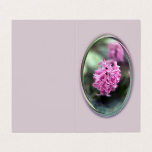 Hyacinth in spring