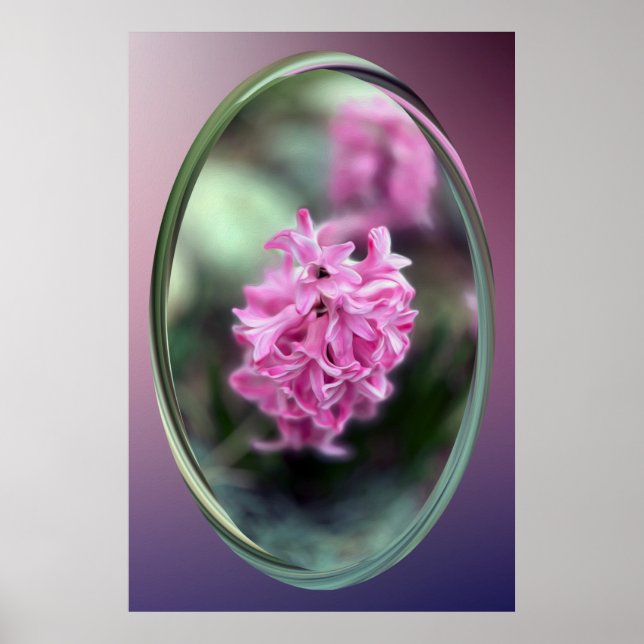 Hyacinth in spring poster (Front)