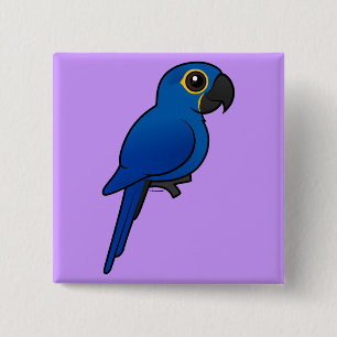 Hyacinth Macaw 15 Cm Square Badge
