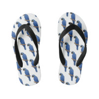 Hyacinth macaw bird cartoon illustration