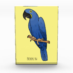 Hyacinth macaw bird cartoon illustration photo block