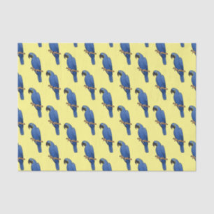Hyacinth macaw bird cartoon illustration tissue paper