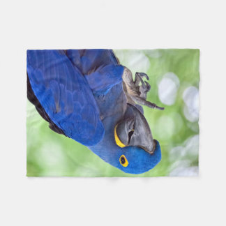 Hyacinth Macaw Bird Fleece Blanket