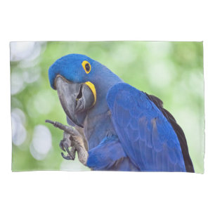 Hyacinth Macaw Bird Pillowcase