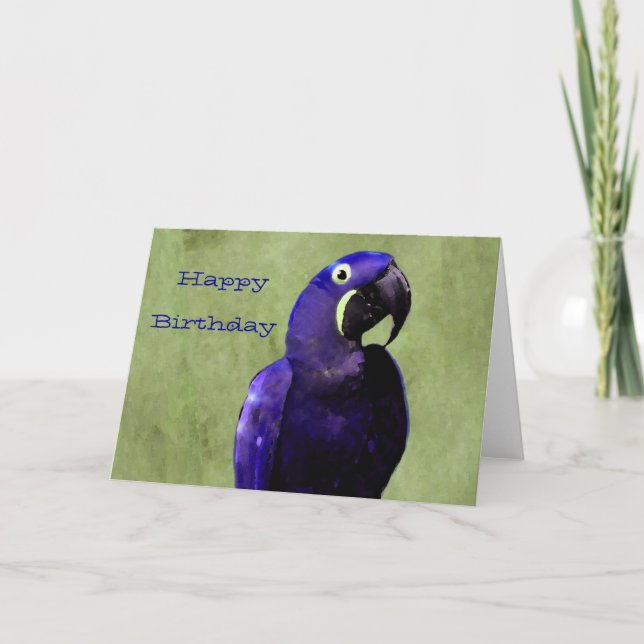 Hyacinth Macaw Birthday Card (Front)