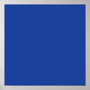 Hyacinth Macaw Blue Poster