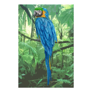 Hyacinth Macaw Design Photo Enlargement Print