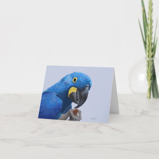 Hyacinth Macaw Encouragement JW Thank You Card (Front)