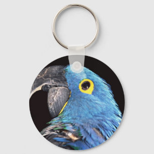 Hyacinth Macaw Key Ring
