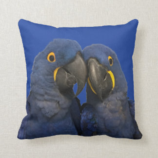 Hyacinth Macaw Parrot Bird Rare Blue Cushion