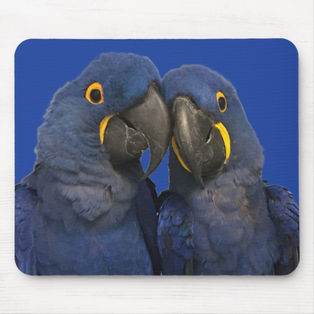 Hyacinth Macaw Parrot Bird Rare Blue Mouse Mat (Front)