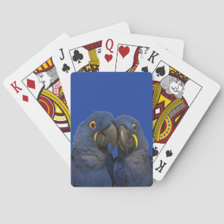Hyacinth Macaw Parrot Bird Rare Blue Playing Cards