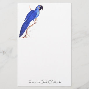 Hyacinth Macaw Stationery