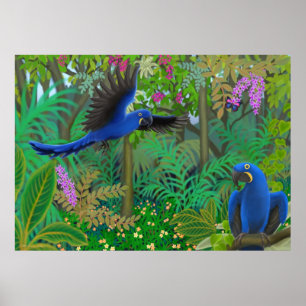 Hyacinth Macaws in the Jungle Poster