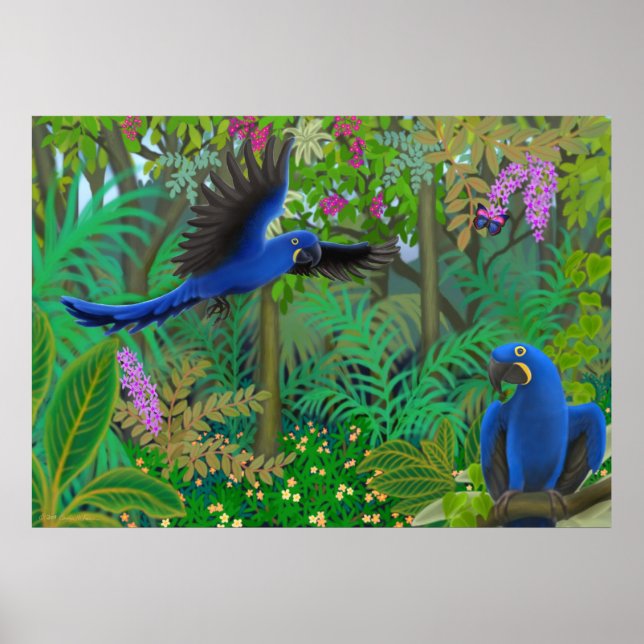 Hyacinth Macaws in the Jungle Poster (Front)