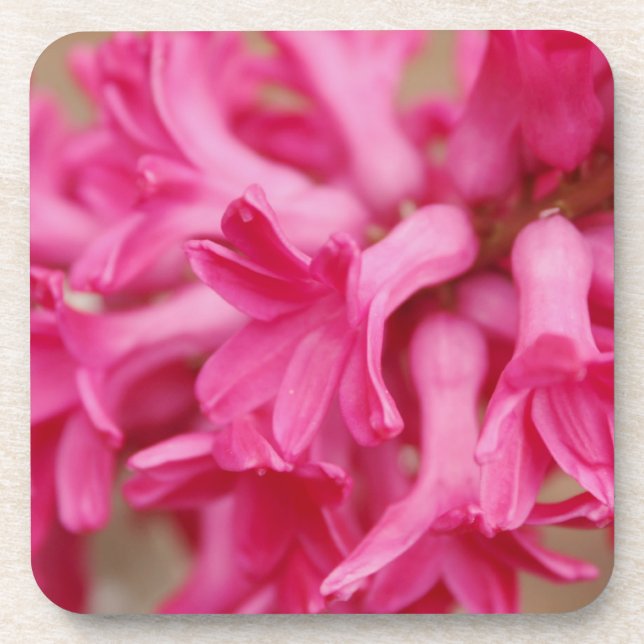 Hyacinth Pink Coaster (Front)