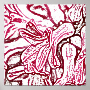 Hyacinth Pink Edited Poster