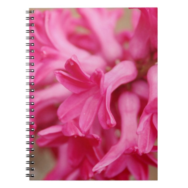 Hyacinth Pink Notebook (Front)