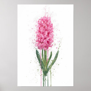 Hyacinth Poster