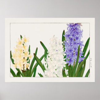 Hyacinth, Purple White & Yellow Flowers by Konan, Poster