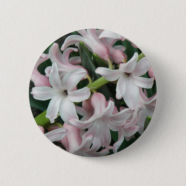 Hyacinths Button (Front)
