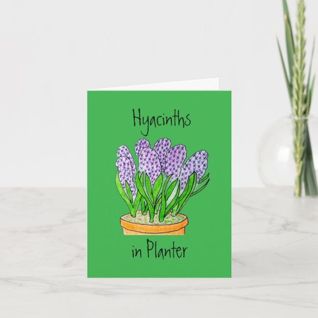 Hyacinths in Planter Blank Greeting Card (Front)