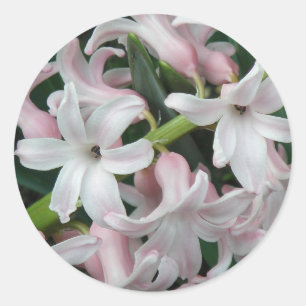 Hyacinths Sticker