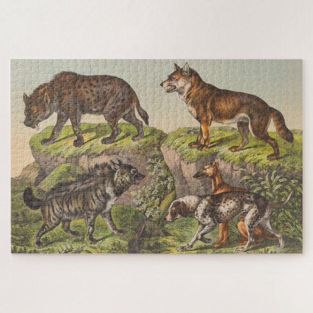 Hyaena (Hyena), Wolf and Dog Jigsaw Puzzle (Horizontal)