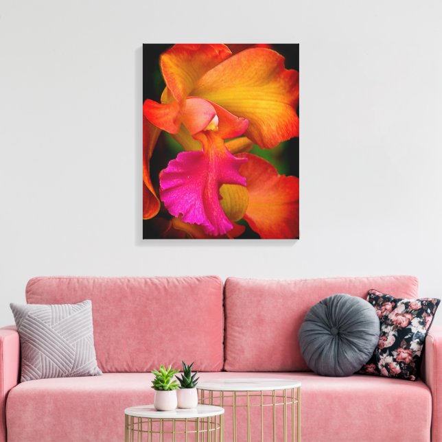 Hybrid Cattleya Orchid Canvas Print (Insitu(LivingRoom))