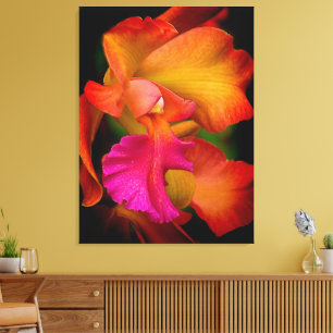 Hybrid Cattleya Orchid Canvas Print