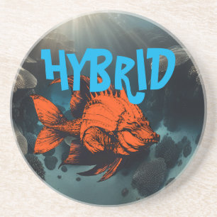 Hybrid Coaster