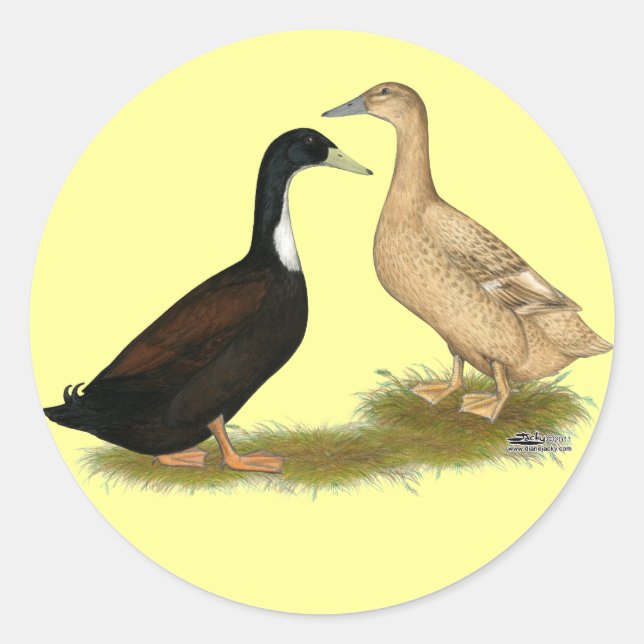 Hybrid Laying Duck Classic Round Sticker (Front)