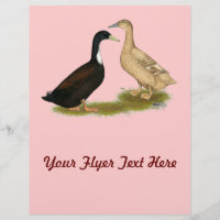 Hybrid Laying Duck