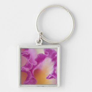 Hybrid orchid close-up, Delray Beach, Florida Key Ring