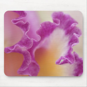Hybrid orchid close-up, Delray Beach, Florida Mouse Mat