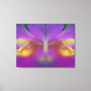 Hybrid orchid, Florida 2 Canvas Print