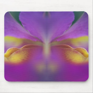 Hybrid orchid, Florida 2 Mouse Mat