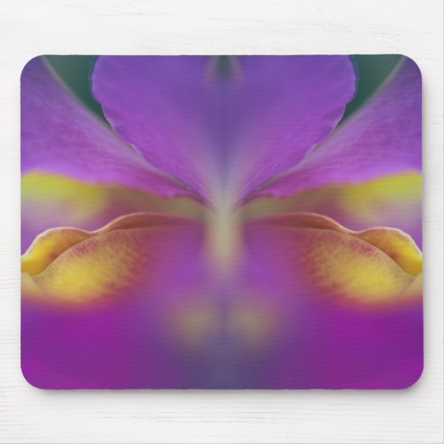 Hybrid orchid, Florida 2 Mouse Mat (Front)