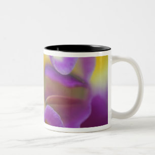 Hybrid orchid, Florida Two-Tone Coffee Mug