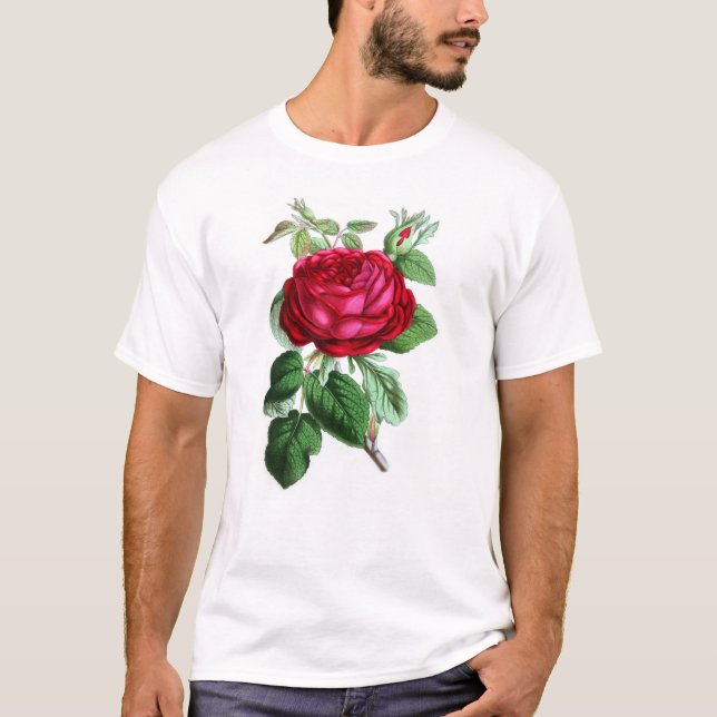 Hybrid Perpetual Rose, Lord Napier T-Shirt (Front)